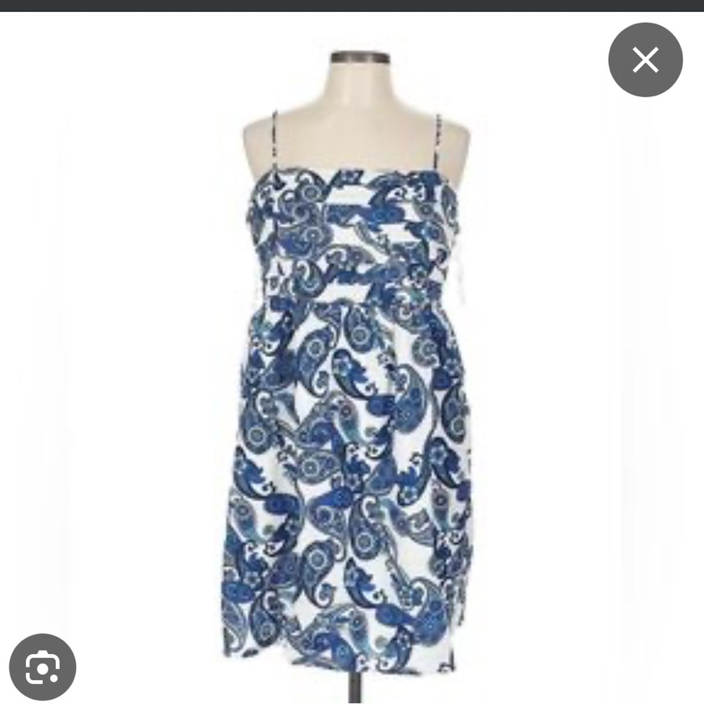 Express Blue and White Paisley Midi Dress
